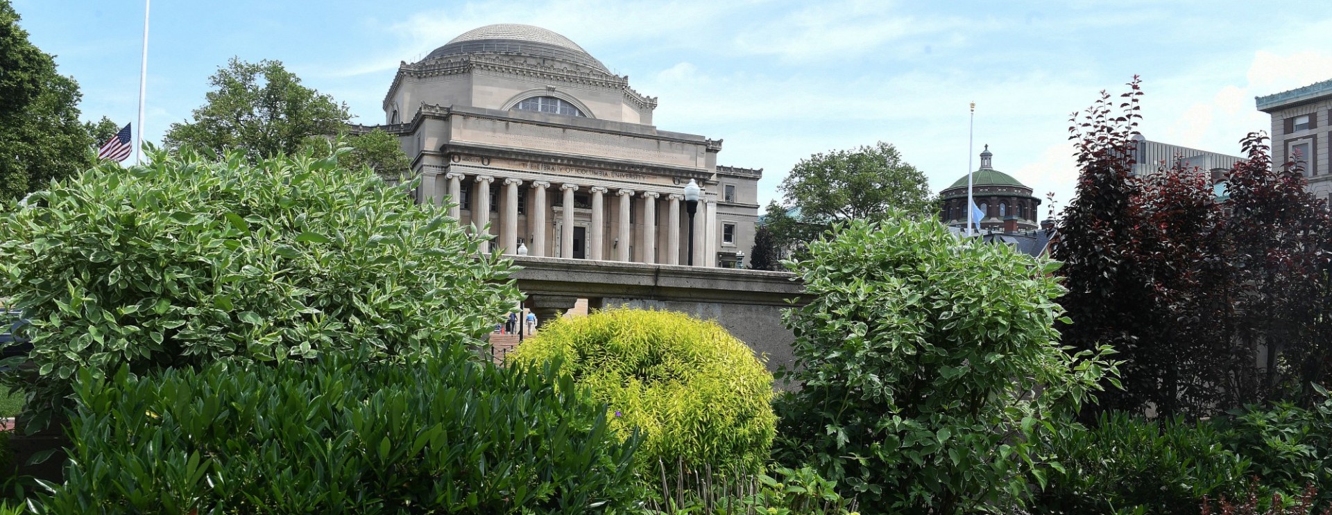 Summer foliage outside of the Low Library. 
