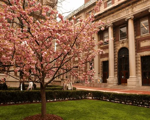 Campus in spring