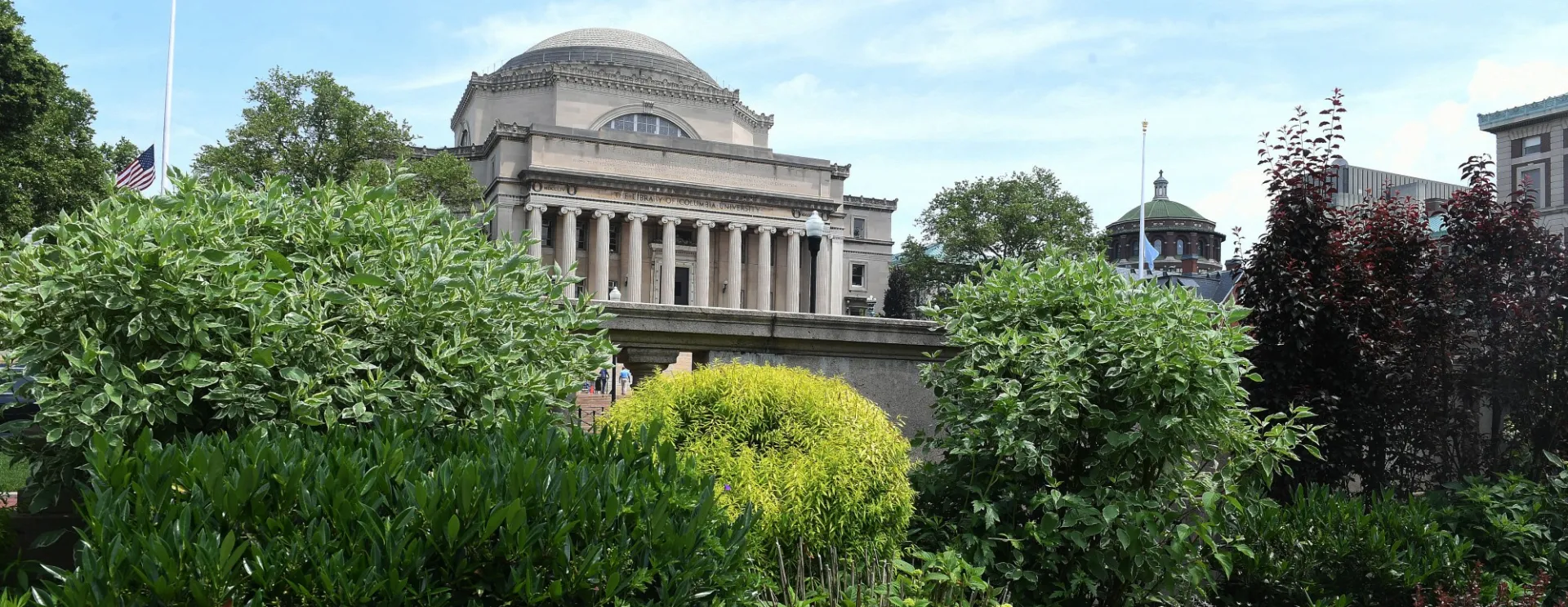 Summer foliage outside of the Low Library. 