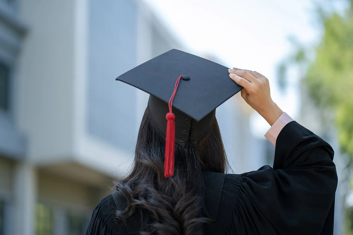 View of student from the back wearing graduation cap and gown. 